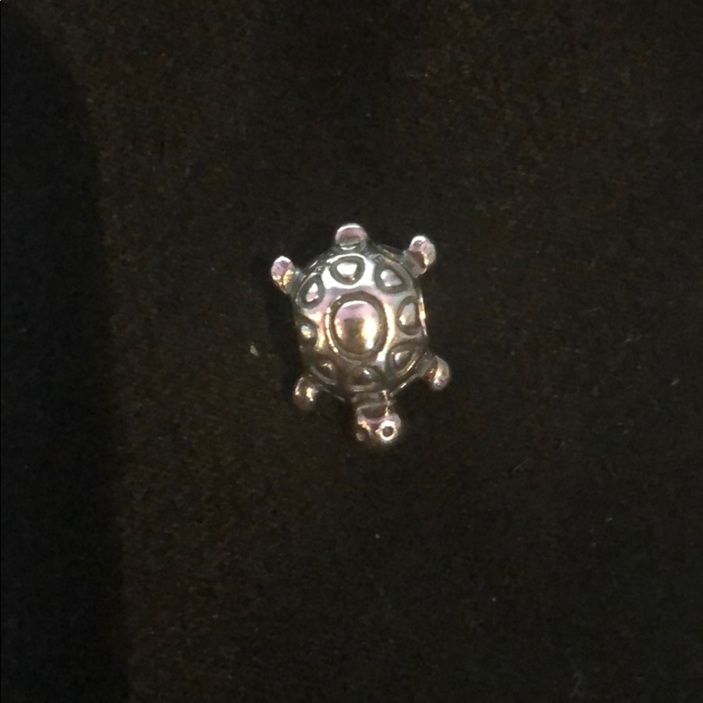 Turtle charm